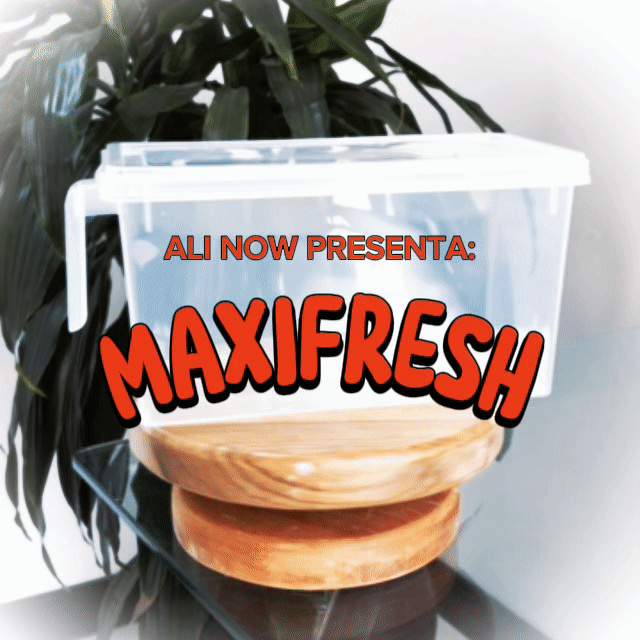 MAXIFRESH 🌽🍎 - ORGANIZADOR CON TAPA Y MANIJA